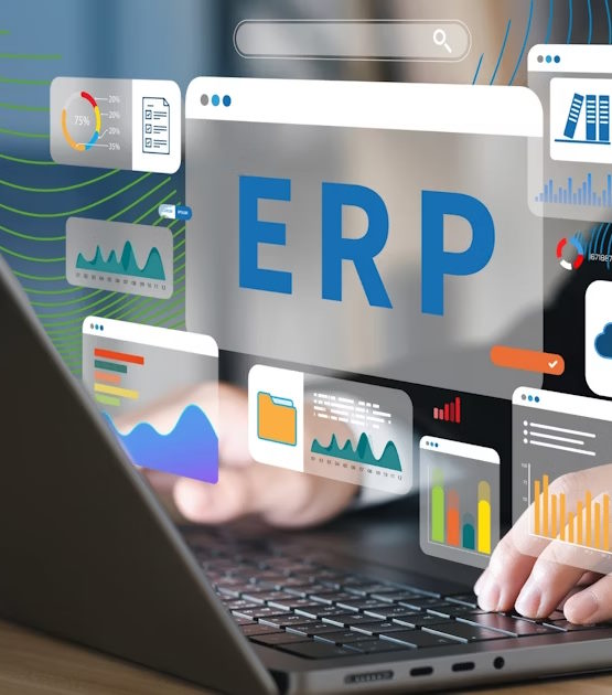 Sistema de gestão completo.